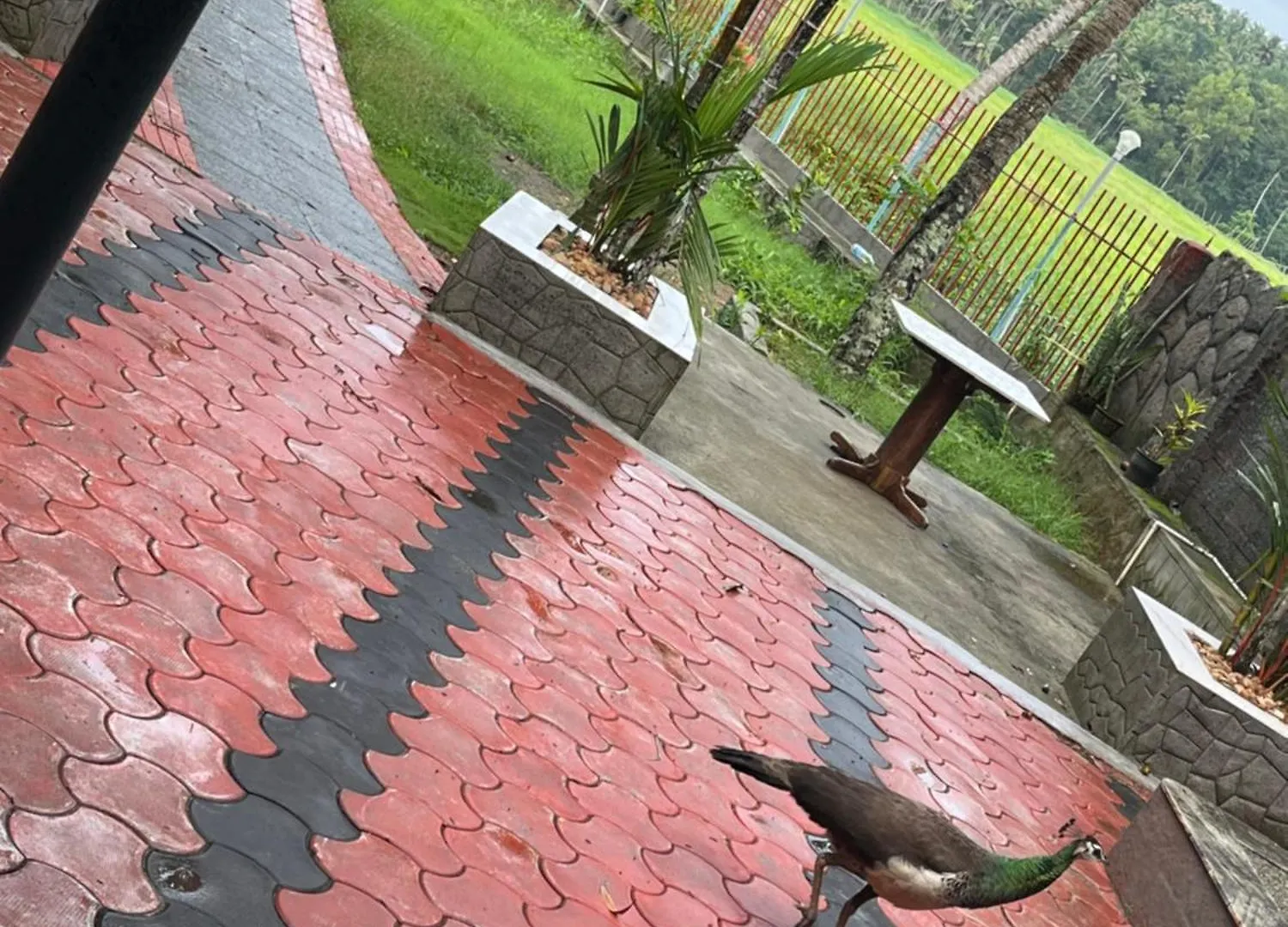 Lake View Villa Thiruvananthapuram
